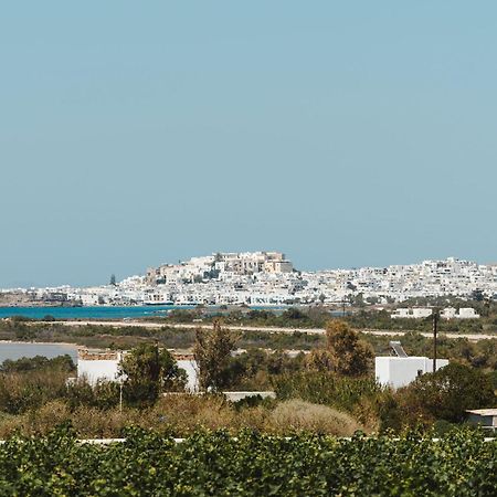 Sunday Luxury Suites Agia Anna  Екстер'єр фото