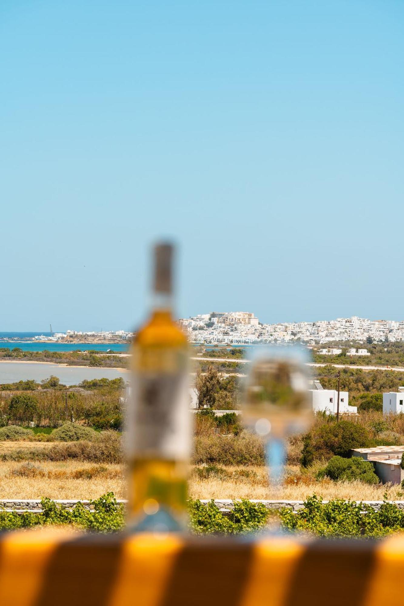 Sunday Luxury Suites Agia Anna  Екстер'єр фото