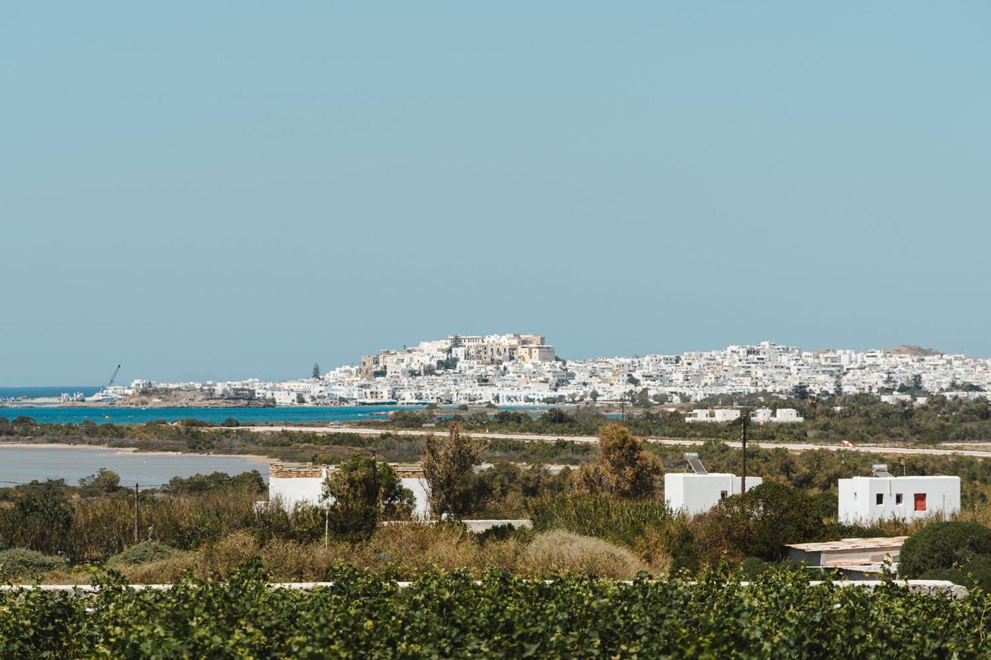 Sunday Luxury Suites Agia Anna  Екстер'єр фото
